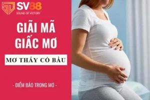 giải mã giấc mơ có thai